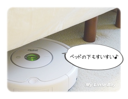 Roomba006.JPG